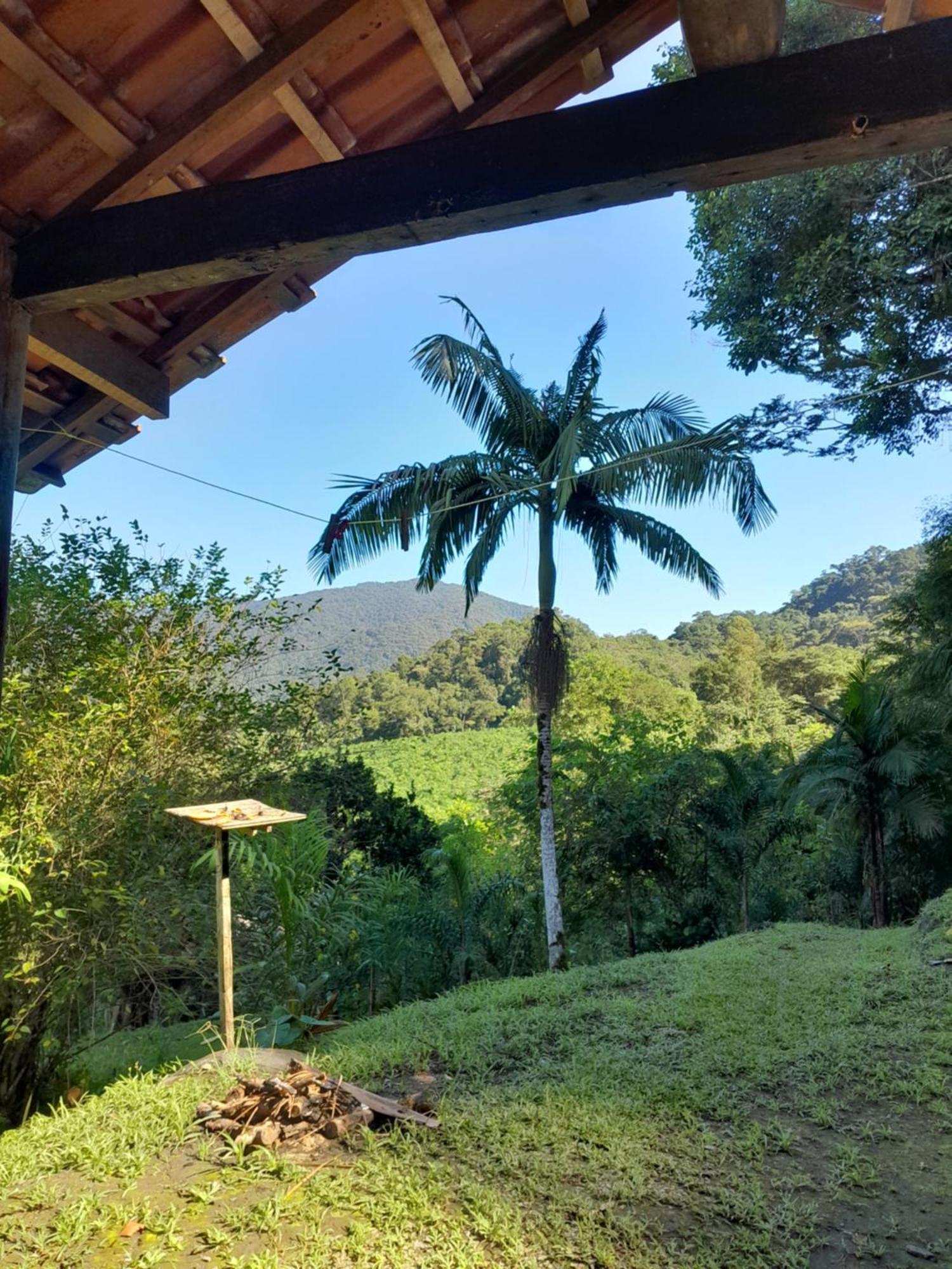 Chale Floresta Toca Da Serra